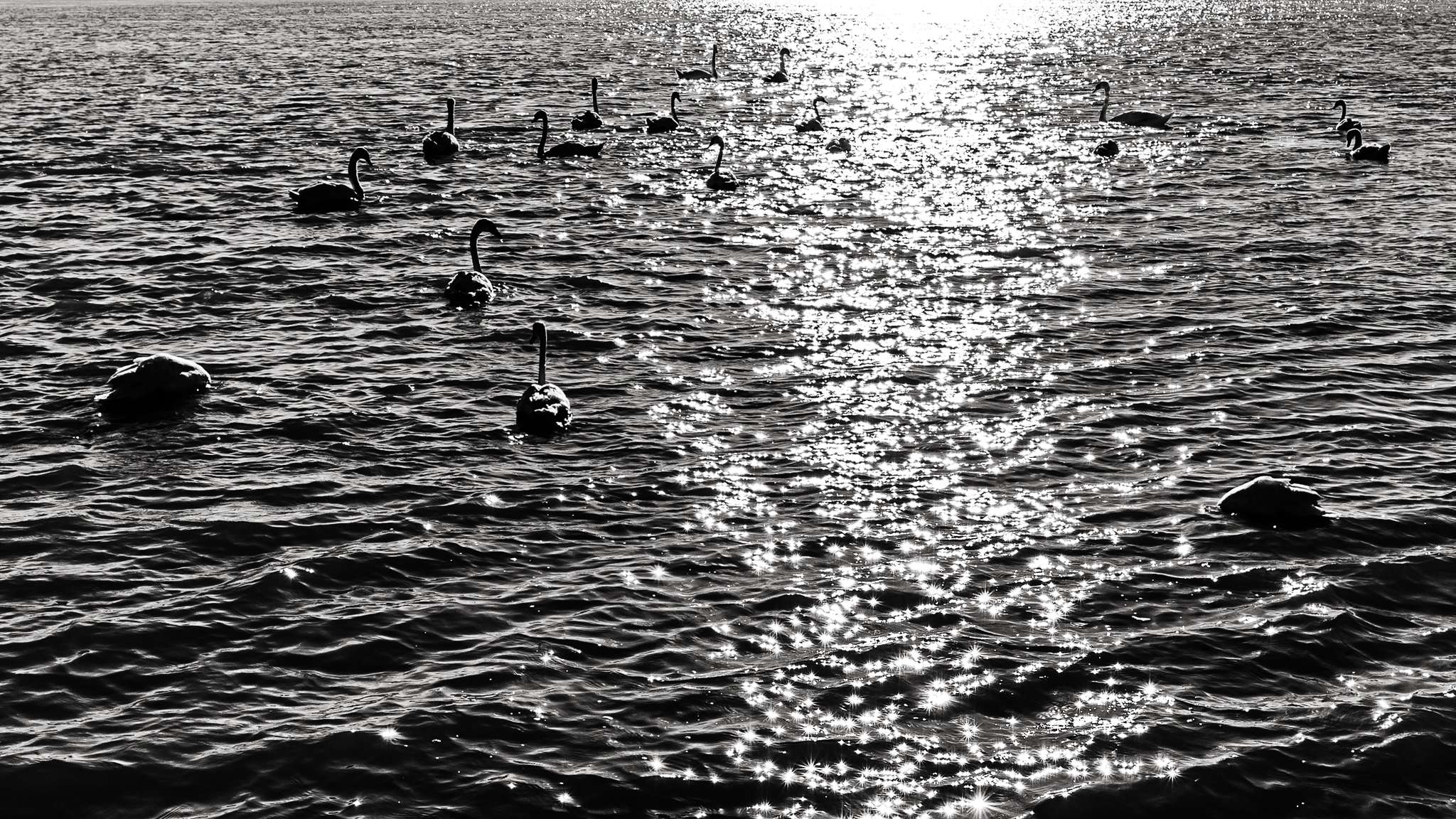 Labutie jazero za pomoci Photoshop-u