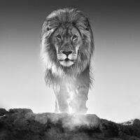 David Yarrow, Nikon, Nikon ambasádor, vyslanec Nikon